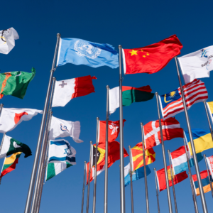 Row of international flags fluttering on tall flagpoles against a clear blue sky.